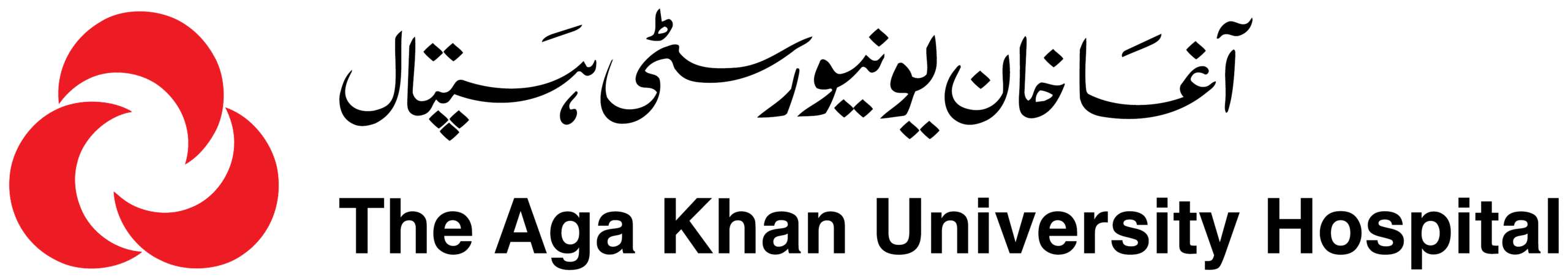 Event Management Karachi | The Luxury Events akuh logo without locator